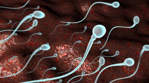 610503844-fecondation-trompe-uterine-spermatozoide-flotter-sur-l'eau dsds